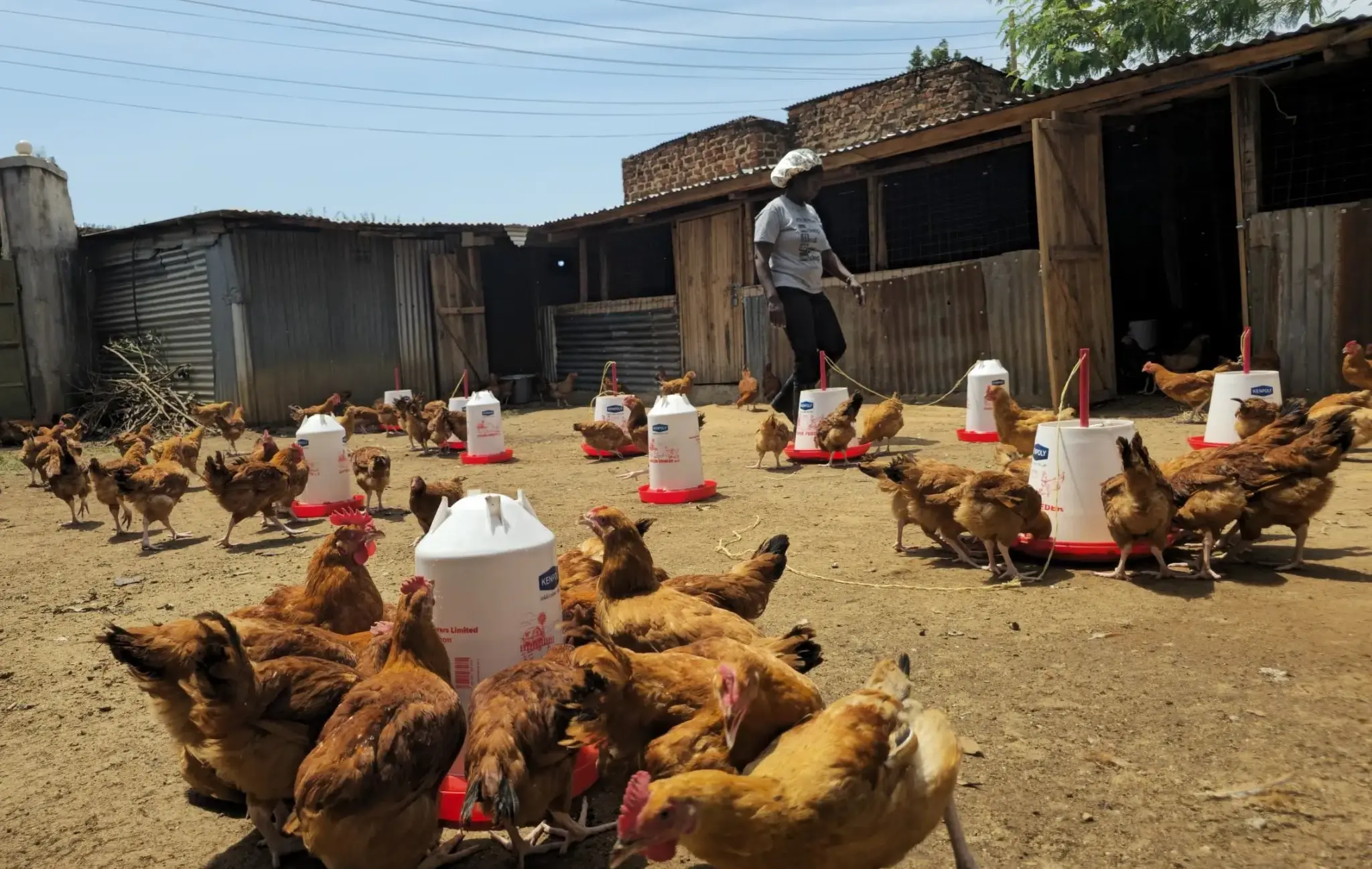Shop Essentials - Support Amani Home