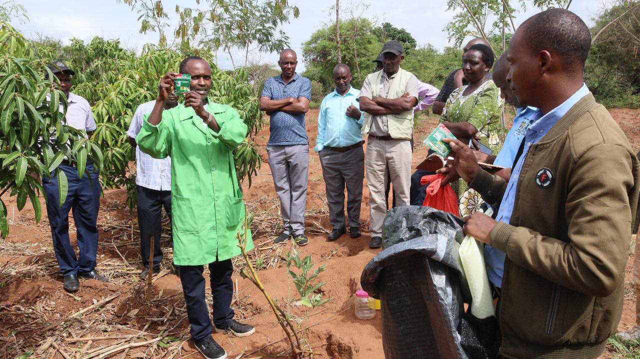 Hydroponic Farming Setup